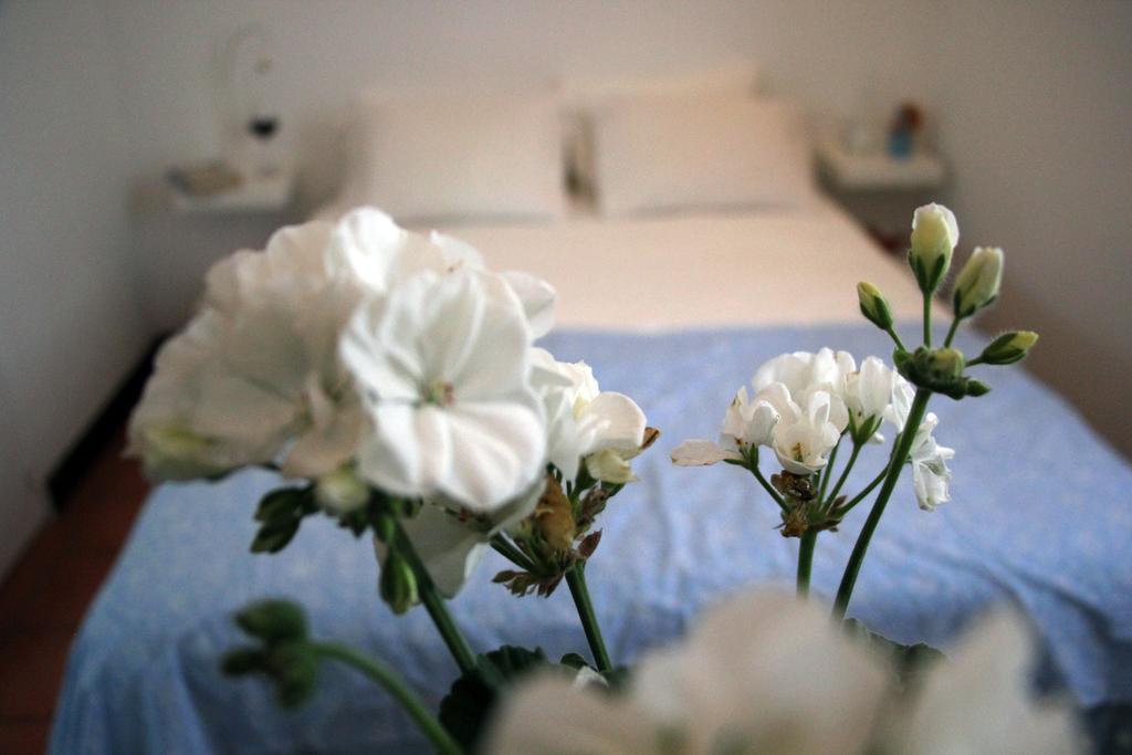 A Casa Da Arvore Bed & Breakfast Vila Nova de Milfontes Room photo