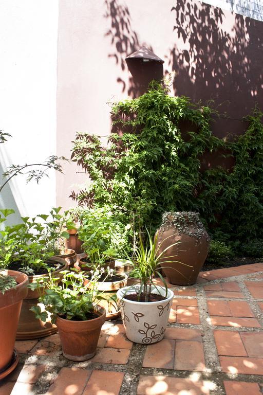 A Casa Da Arvore Bed & Breakfast Vila Nova de Milfontes Exterior photo